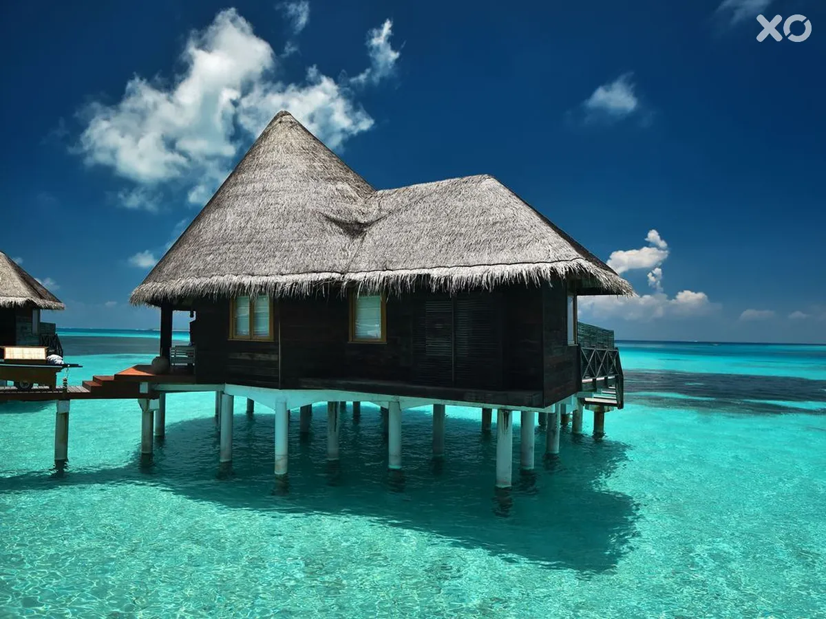 Coco Palm Dhuni Kolhu