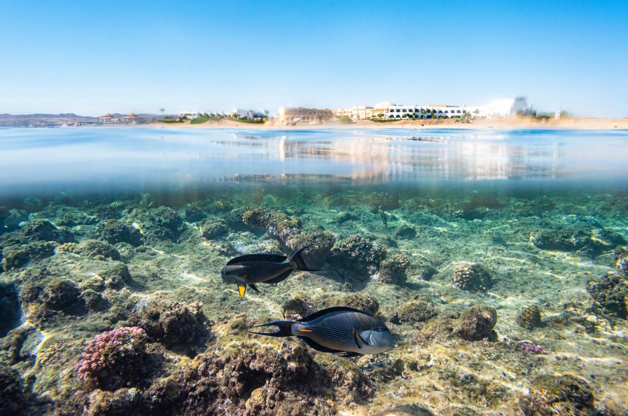 The Three Corners Equinox Beach Resort