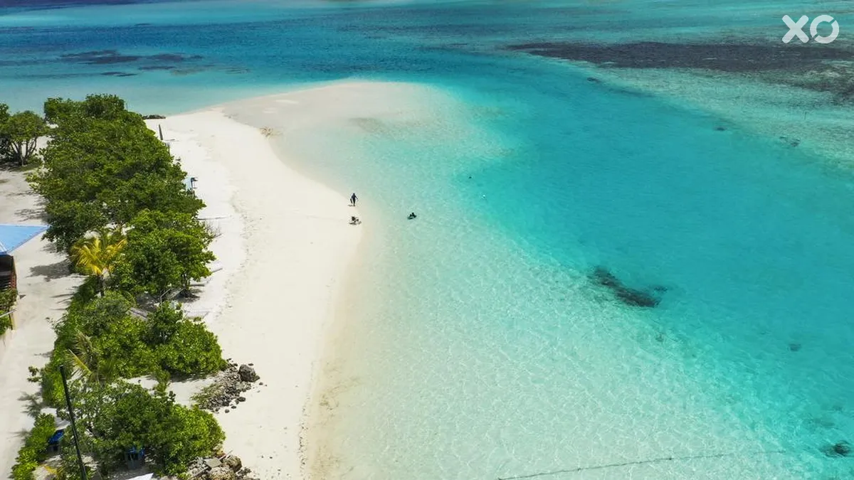 Rashu Hiyaa