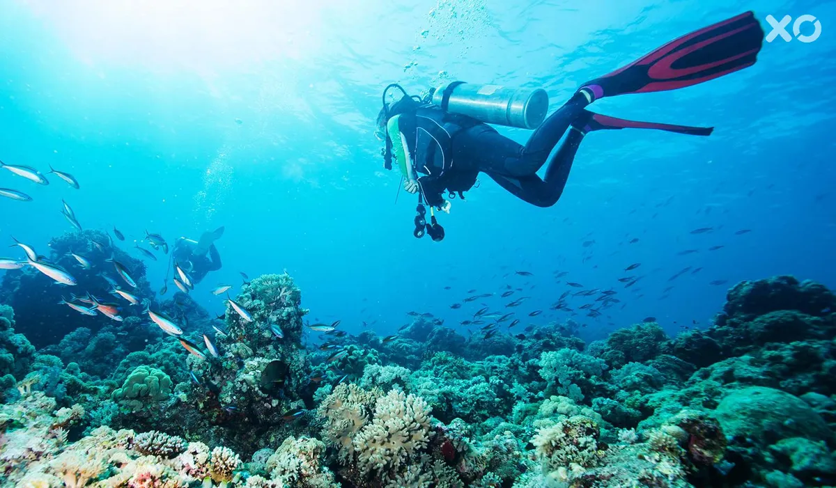 SAii Lagoon Maldives, Curio Collection by Hilton