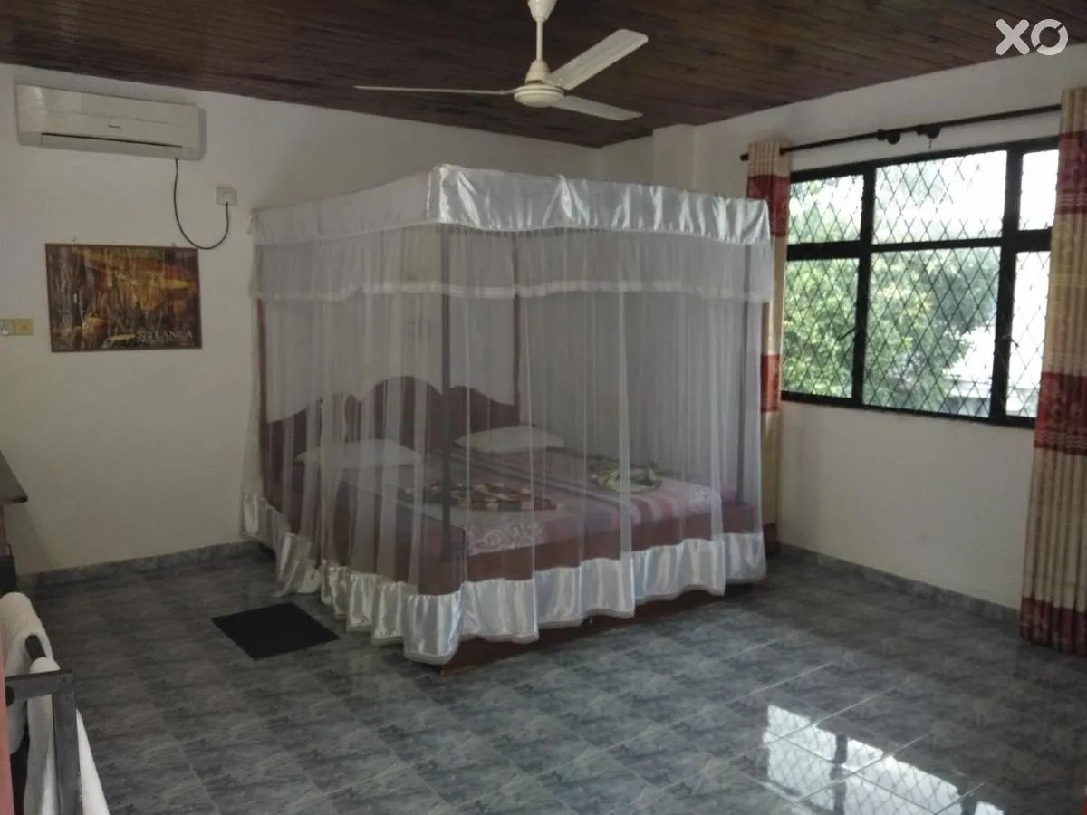 Rock House