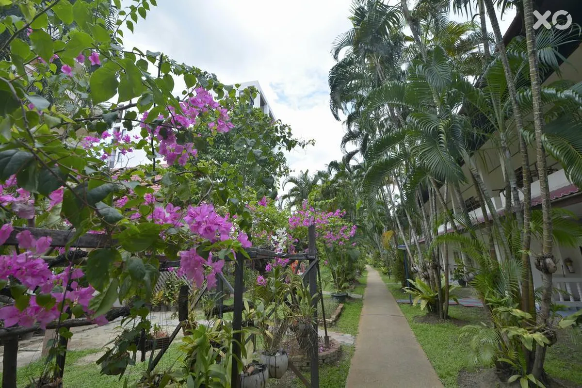 Patong Palace Hotel