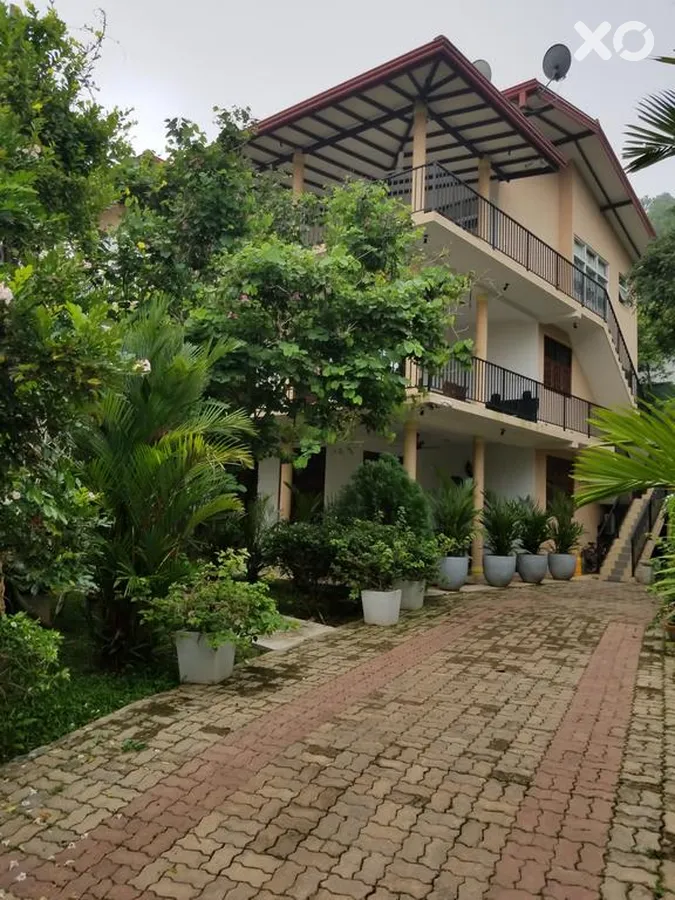 Coral Palm Villa & Apartment