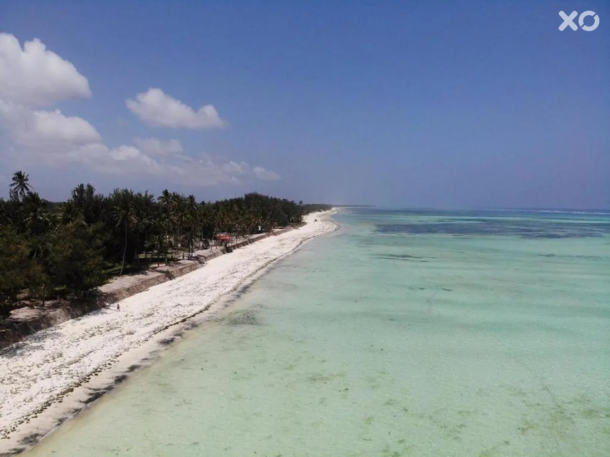 Horizon of Paje