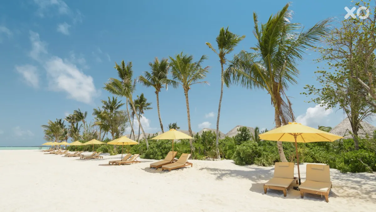 Dhigufaru Island Resort
