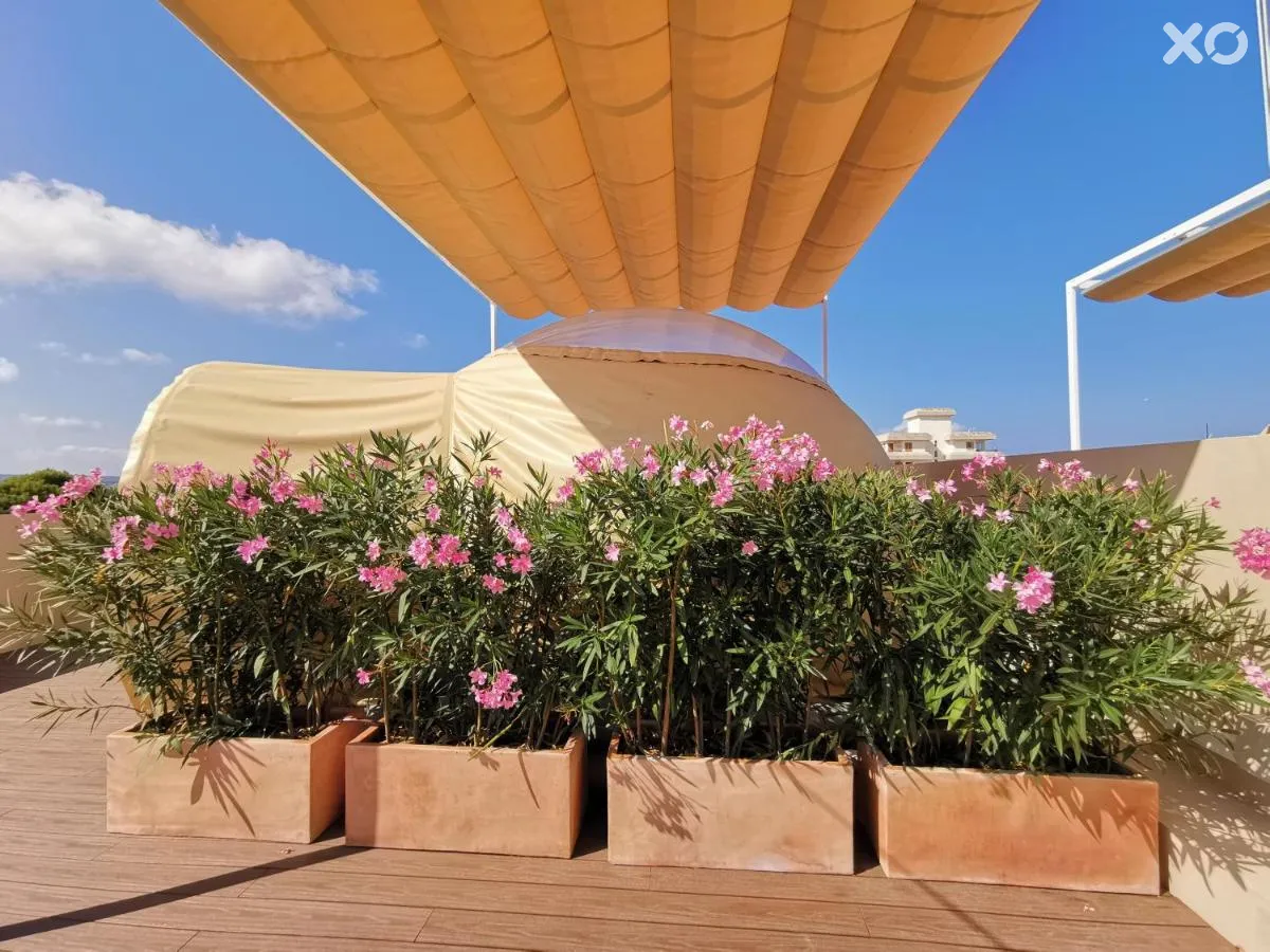 Tent Capi Playa