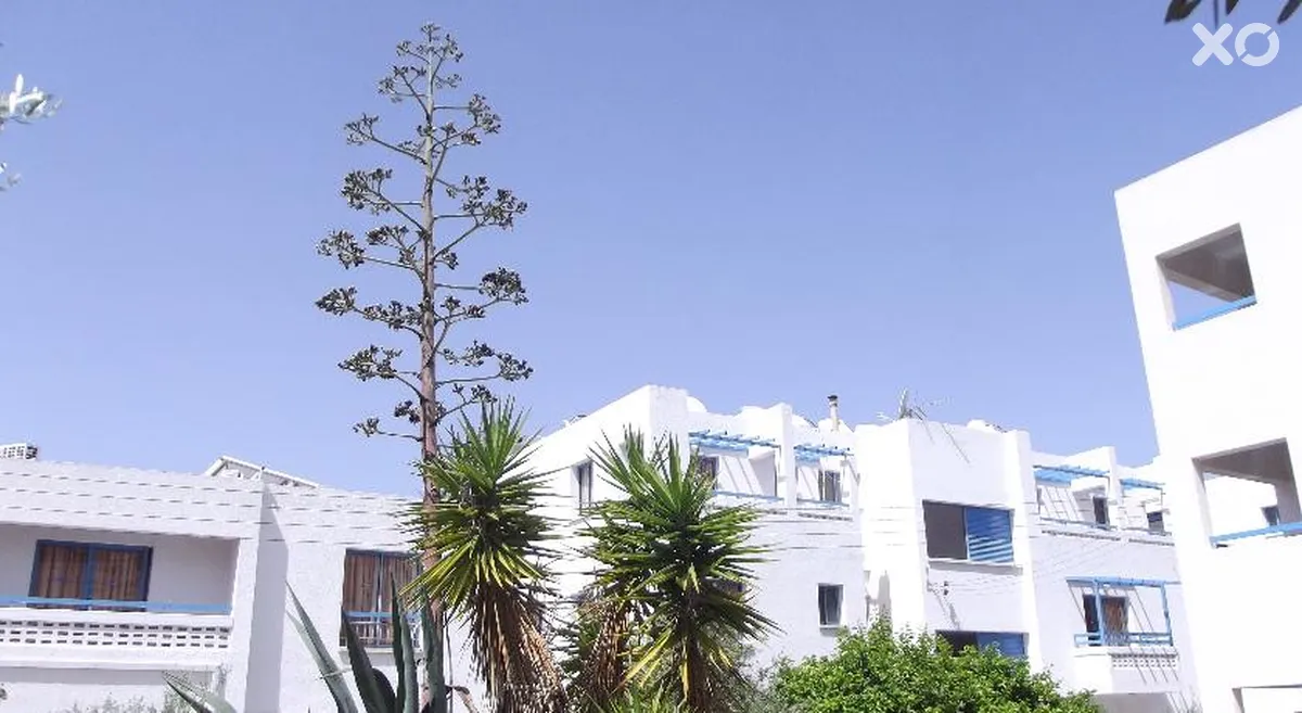 Kefalonitis Hotel Apts