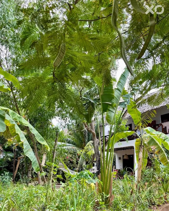 Atii Garden Bungalows