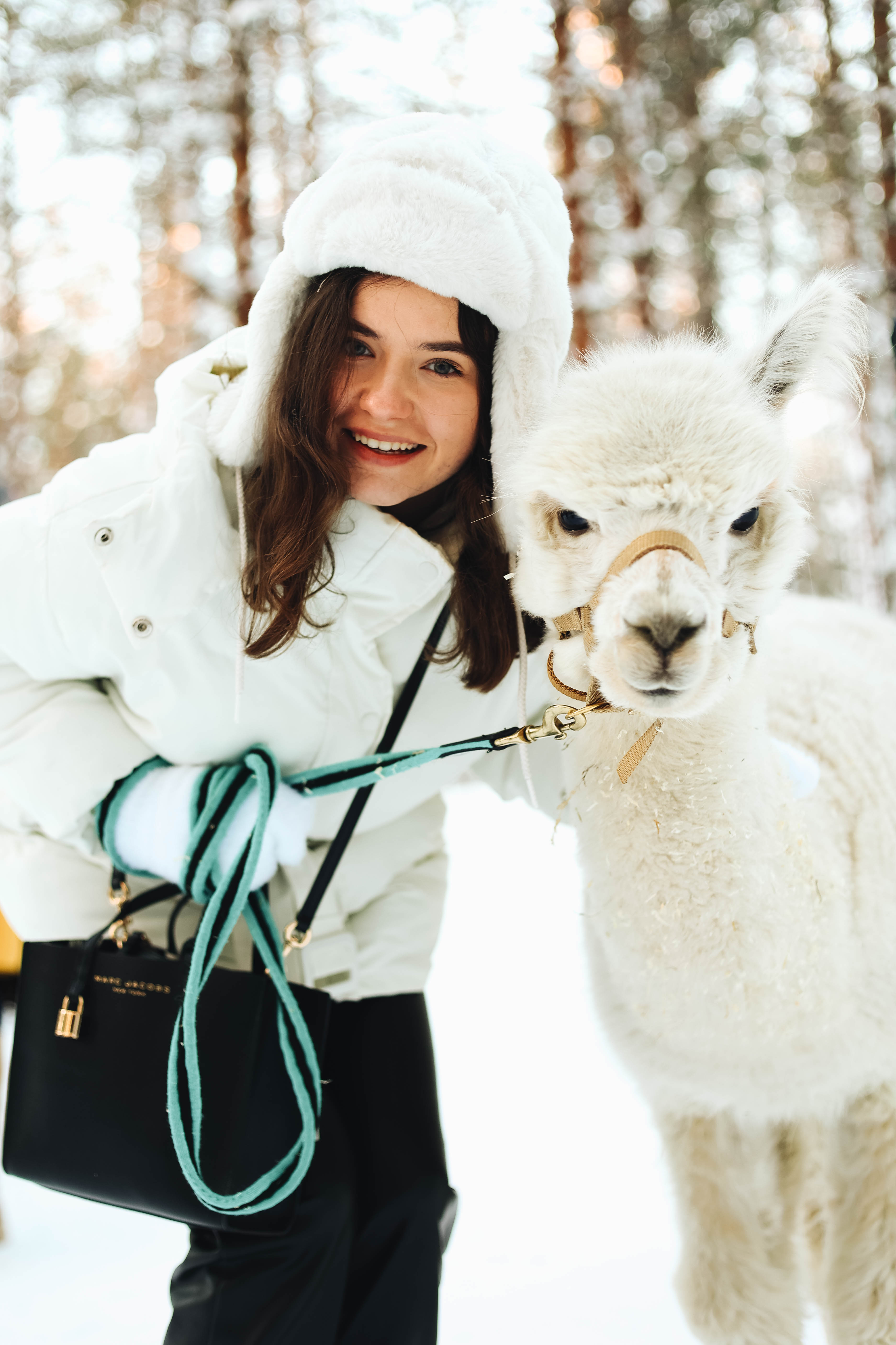 Рождественский тур в Лапландию