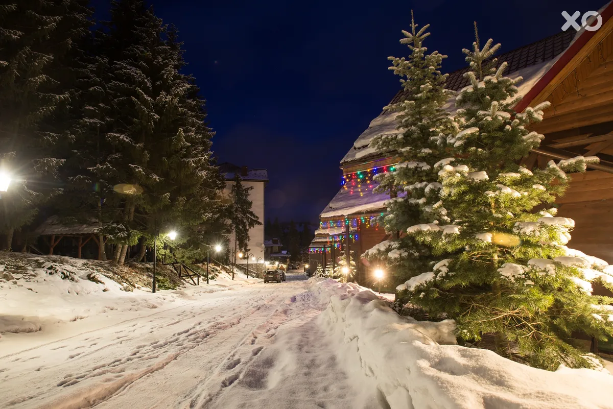 Forest Hill Hotel & Spa
