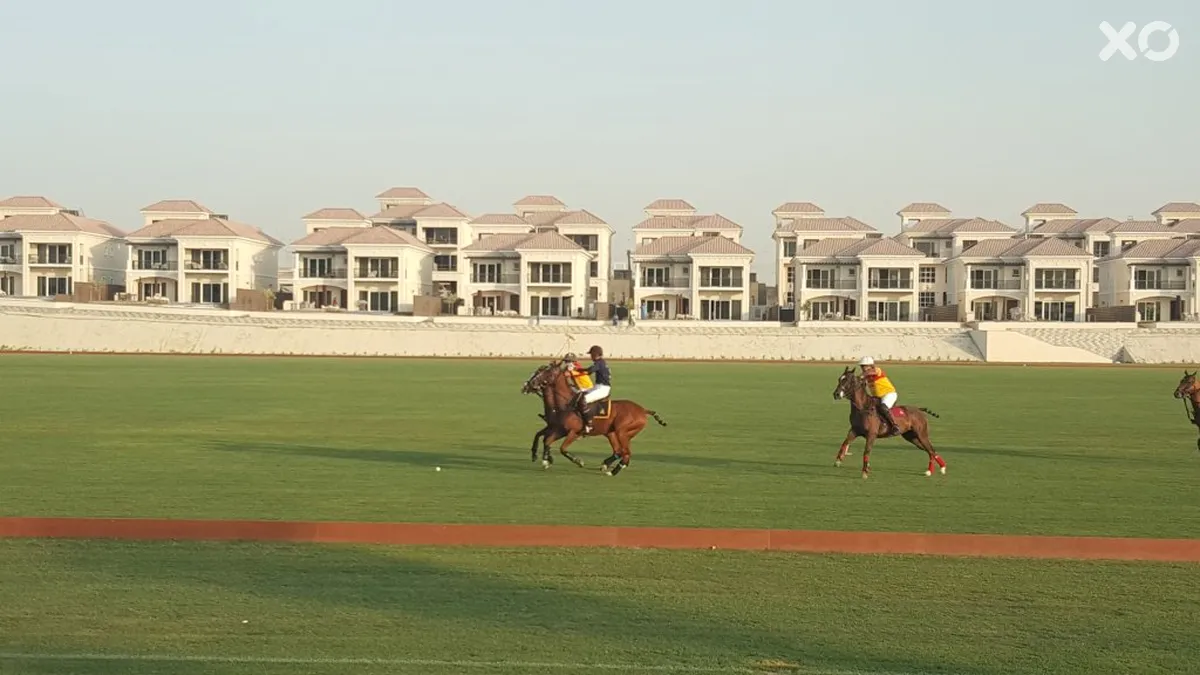 Al Habtoor Polo Resort
