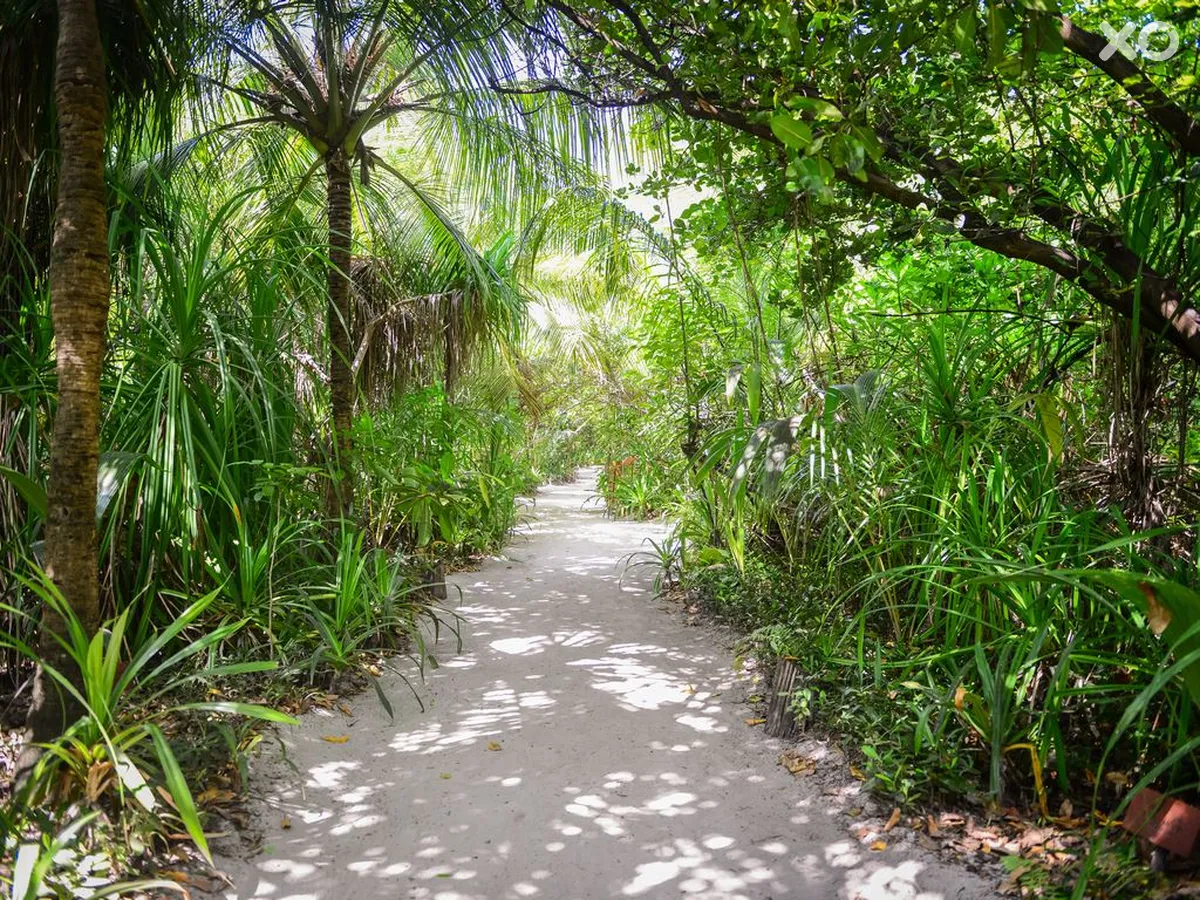 Coco Palm Dhuni Kolhu