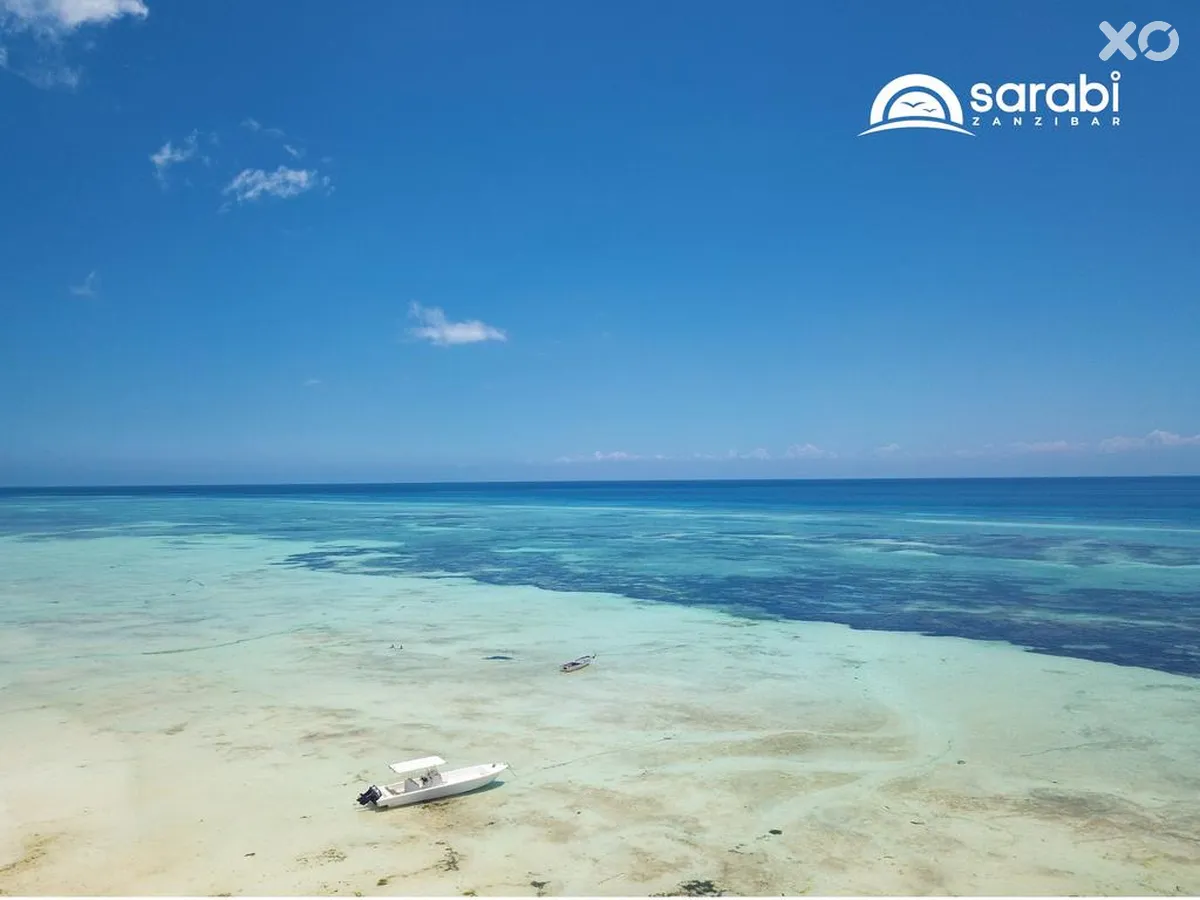 Mandarin Zanzibar