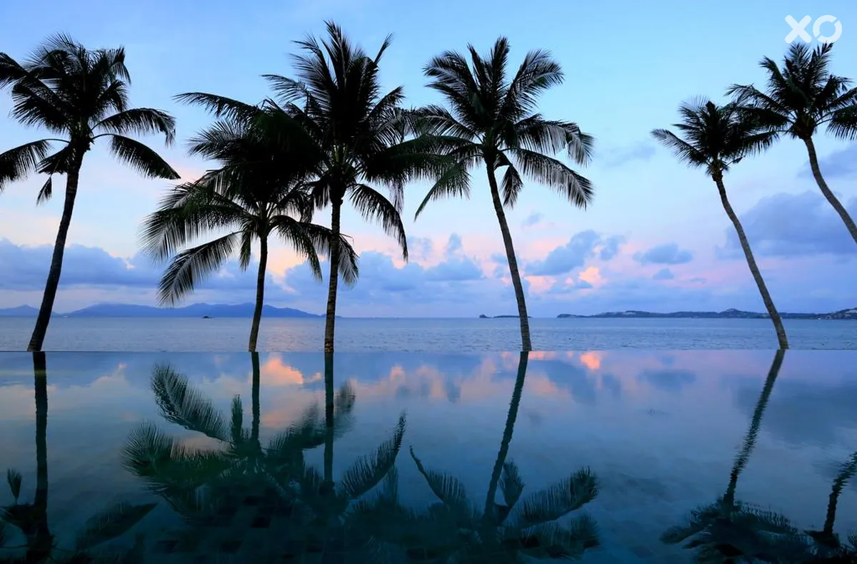 Celes Beachfront Resort