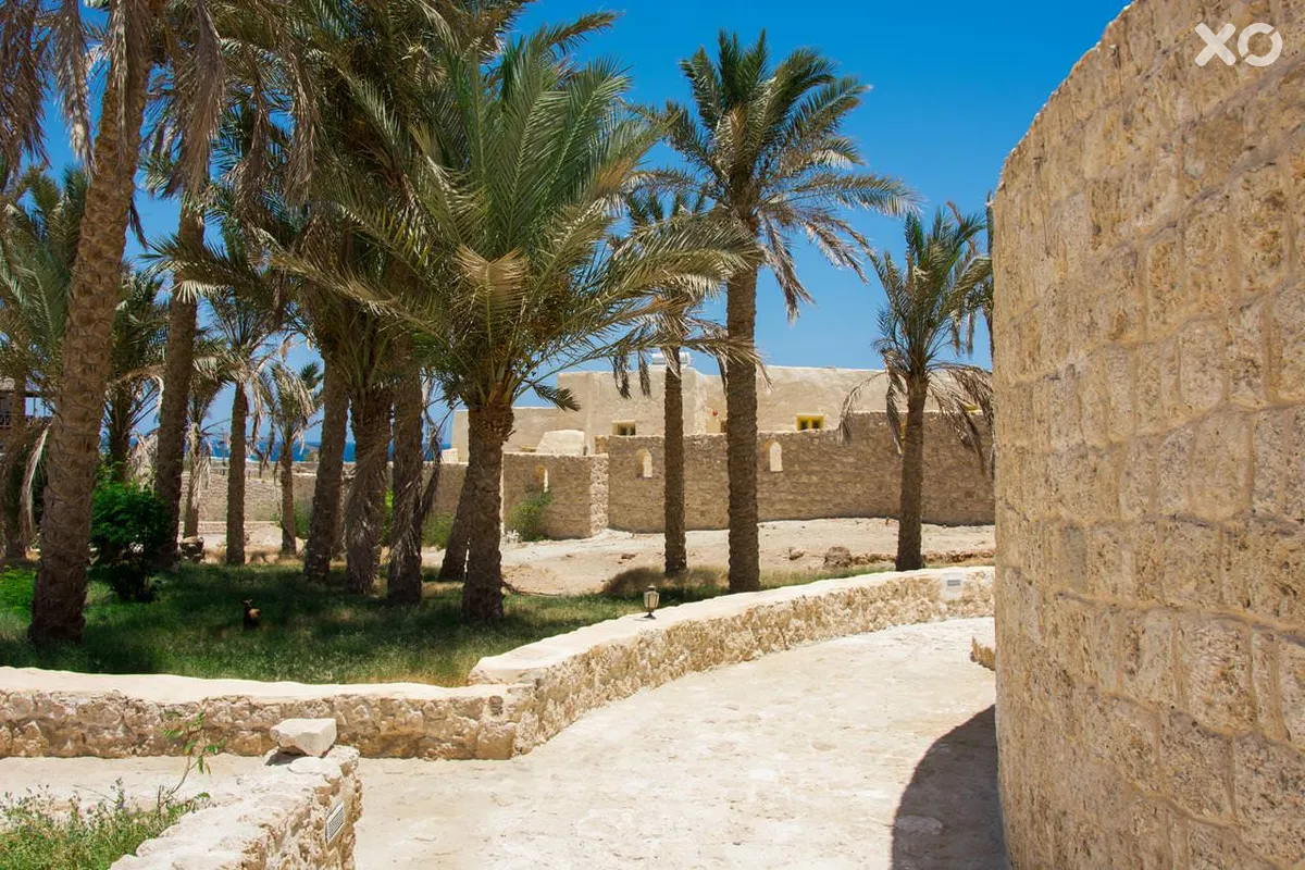 The Oasis Dive Resort