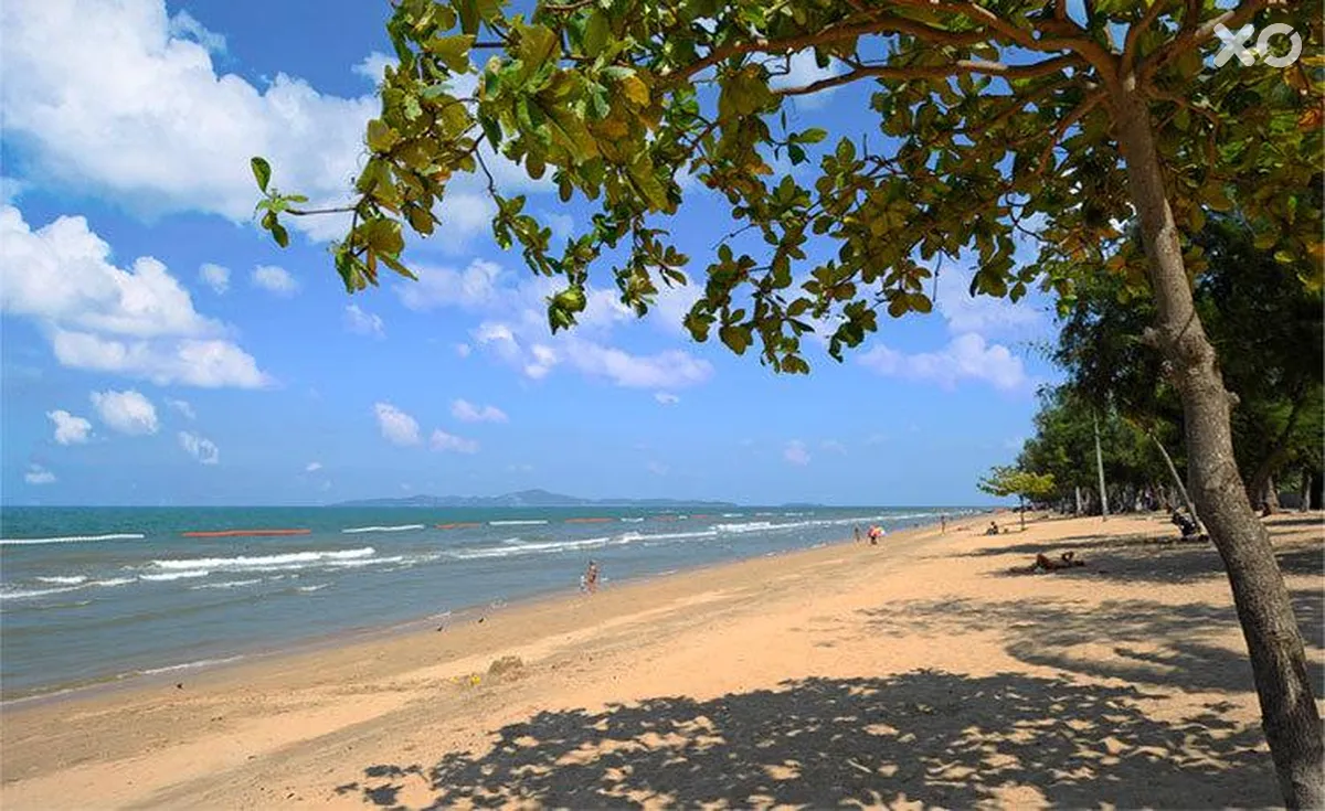 Rabbit Resort Pattaya