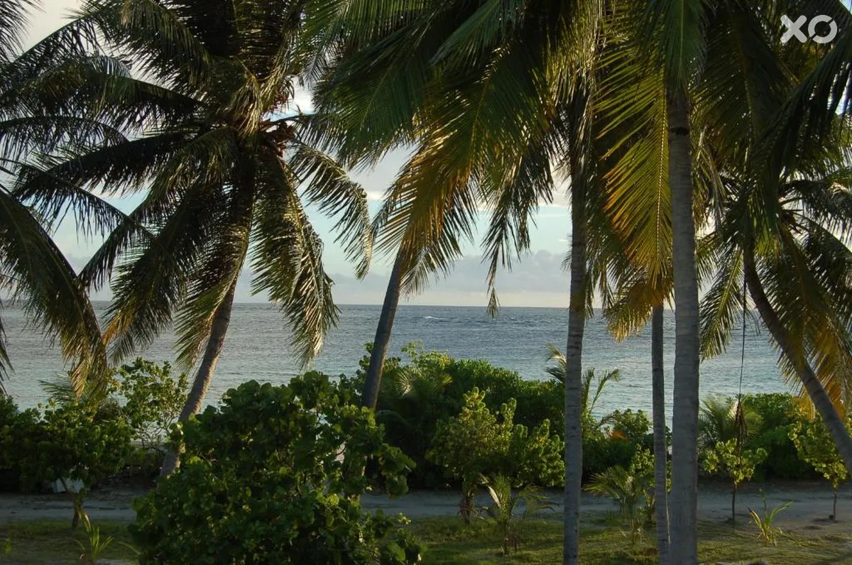Vaali Beach & Dive Lodge
