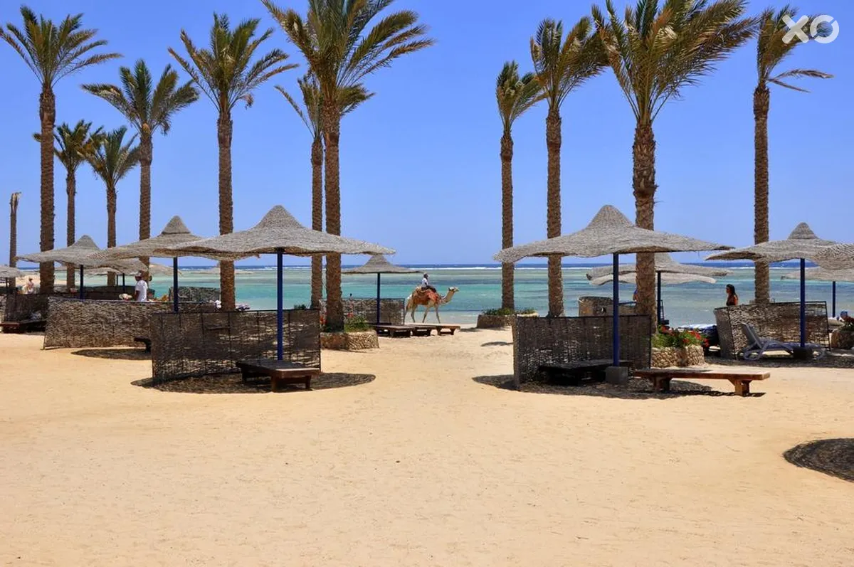 Blend Elphistone Resort Marsa Alam