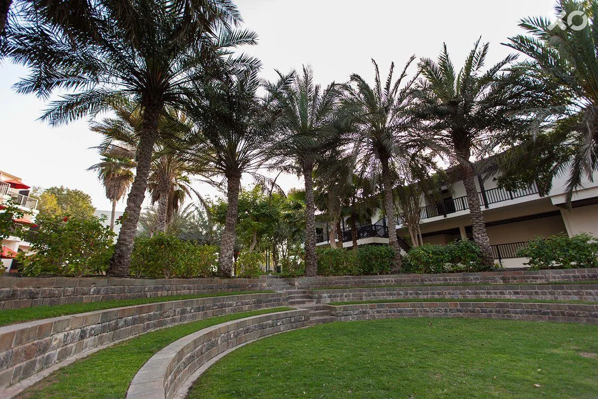 JA Palm Tree Court