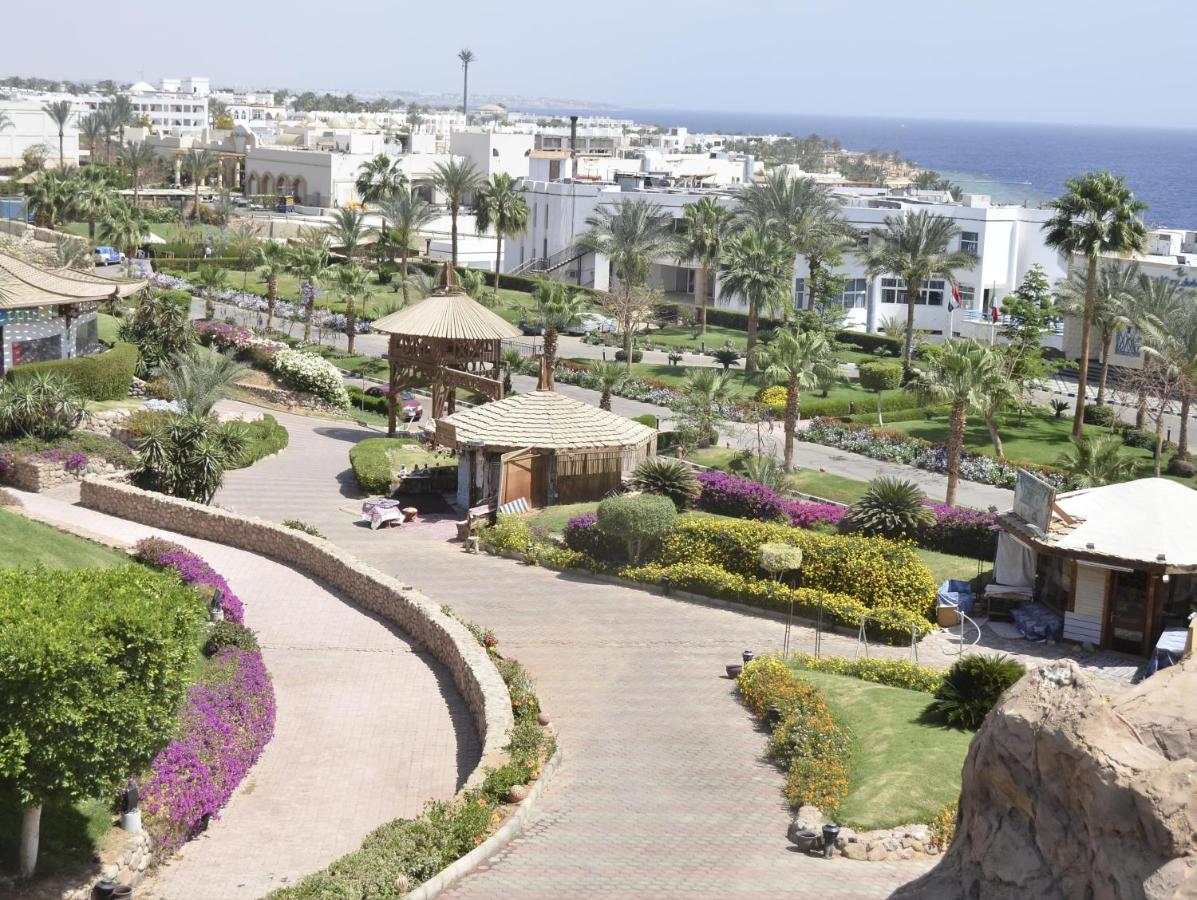 Queen Sharm Resort
