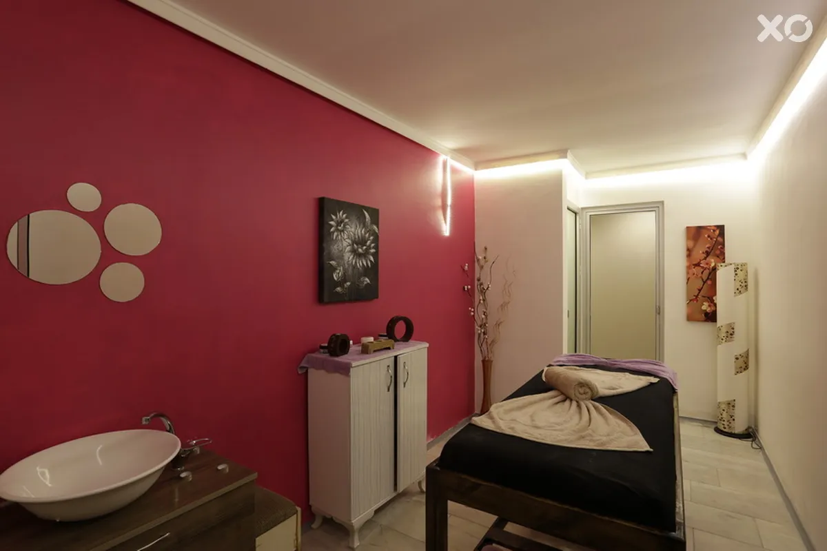 Alenz Suite