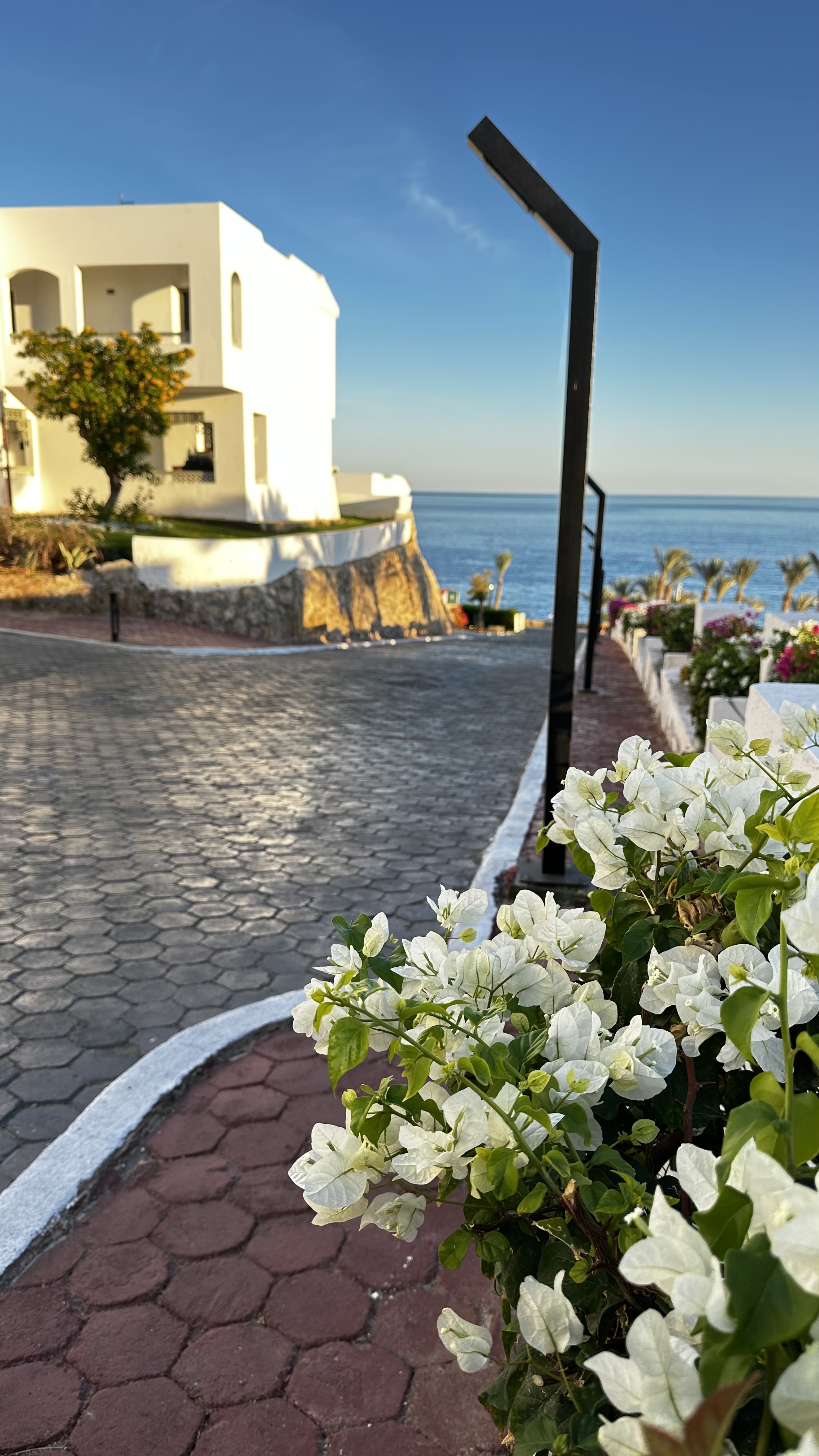 Invidia Coral Beach Tiran 5*(ex.Coral Beach Resort Tiran)