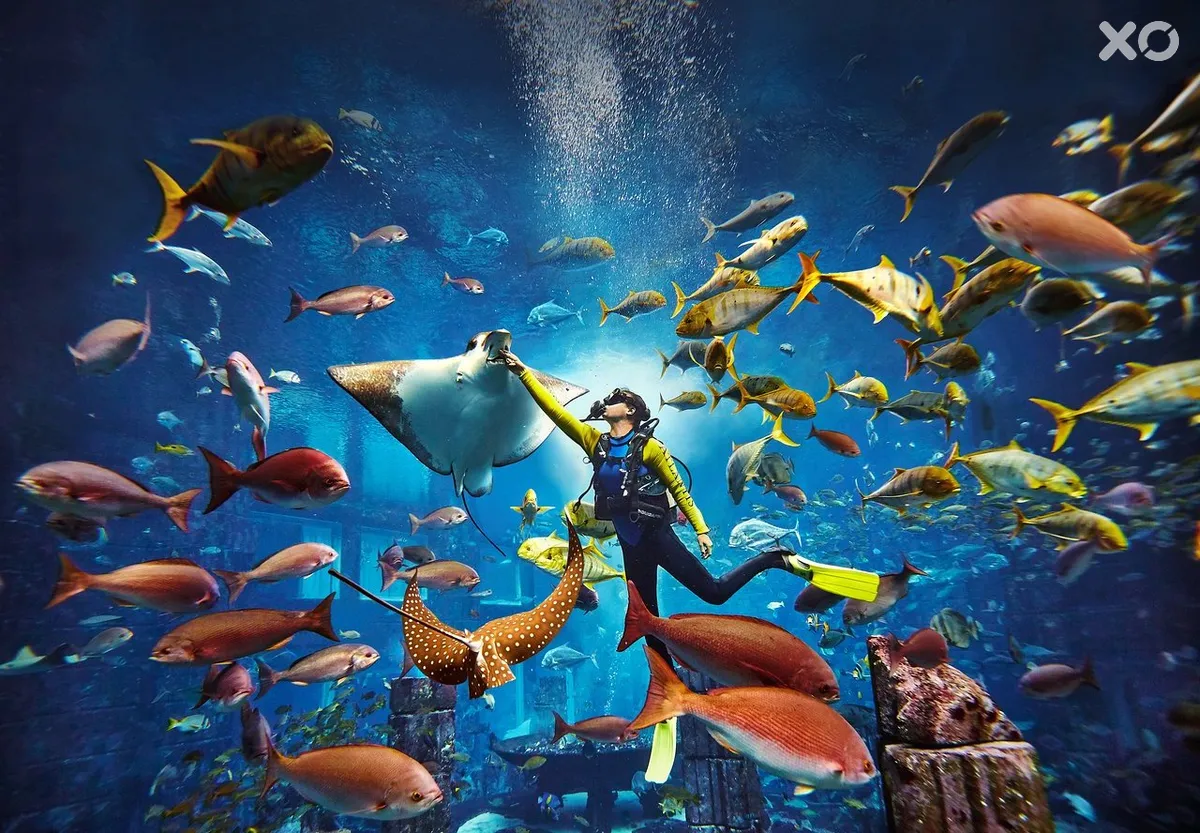 Atlantis The Palm