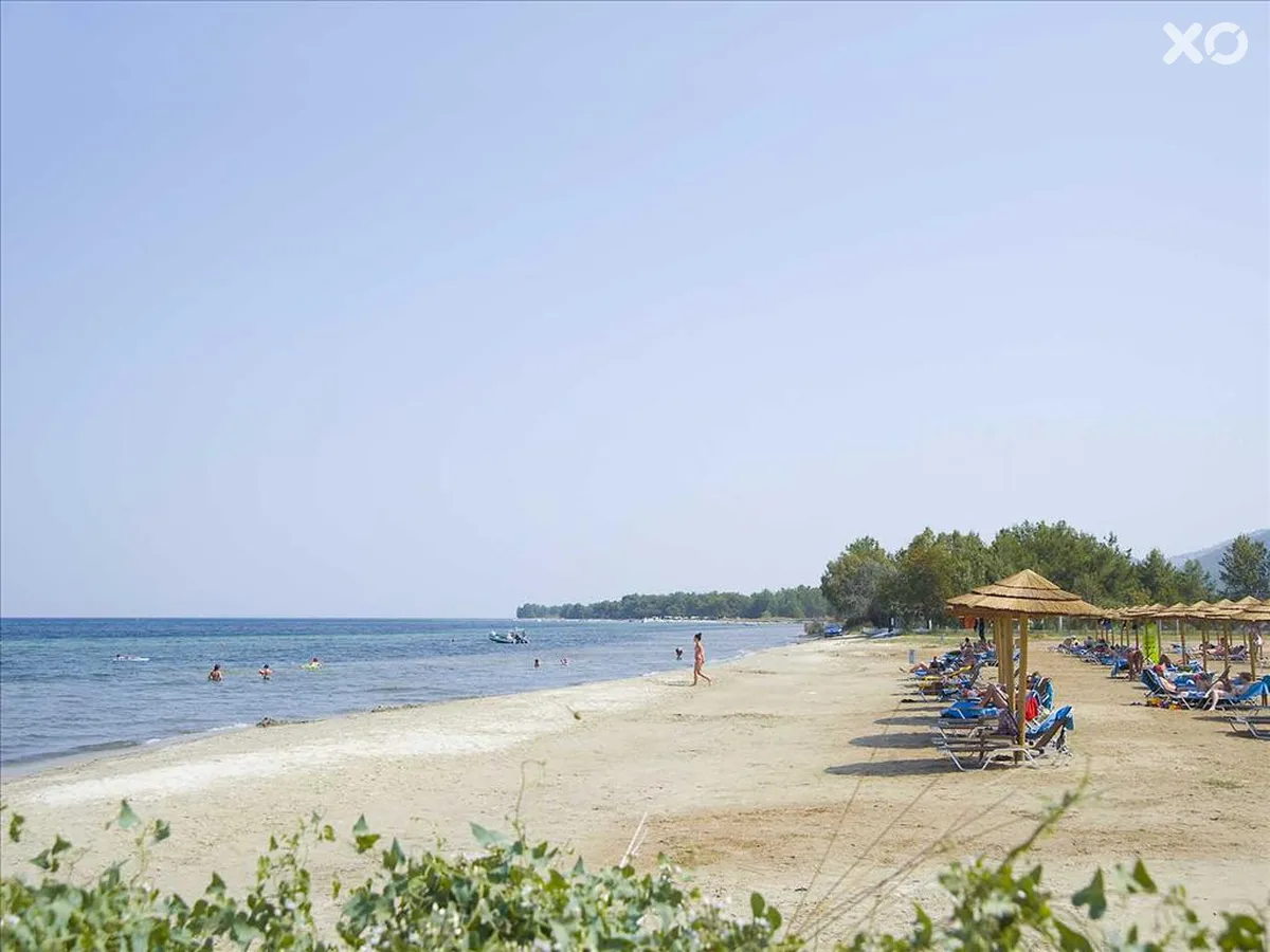 Alea Hotel & Suites