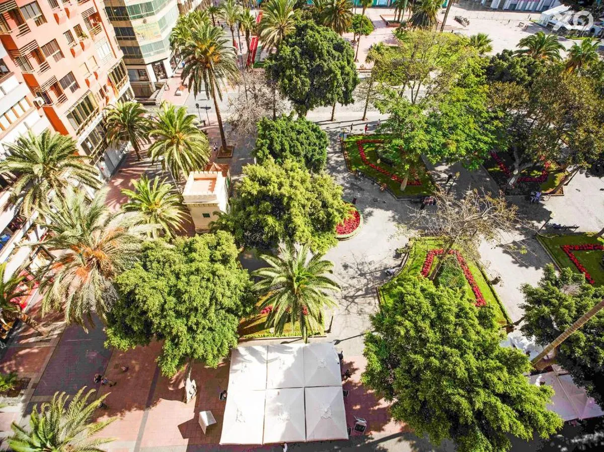 Miami Apartments