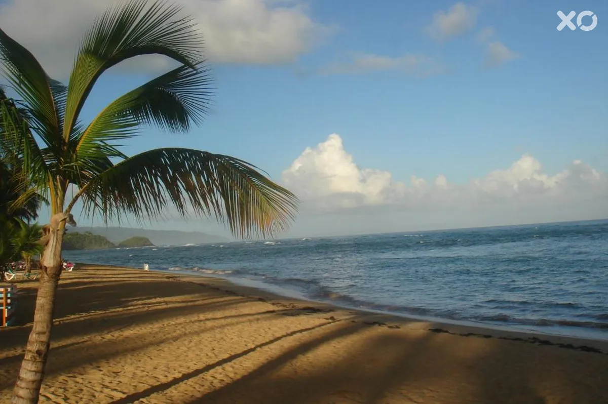 Playa Colibri Hotel