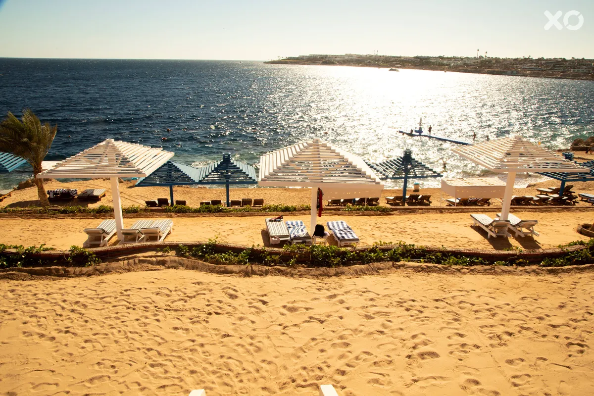 Grand Oasis Resort