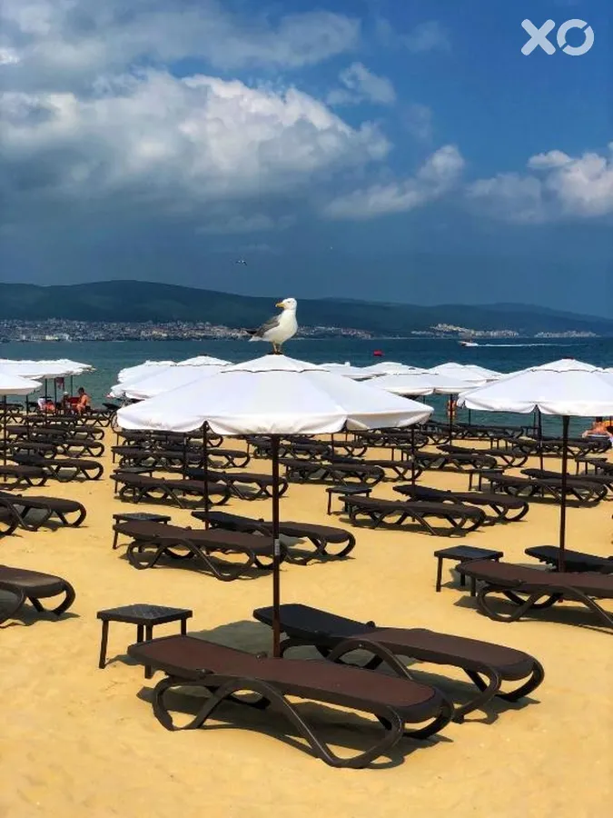 Flamingo Beach Hotel