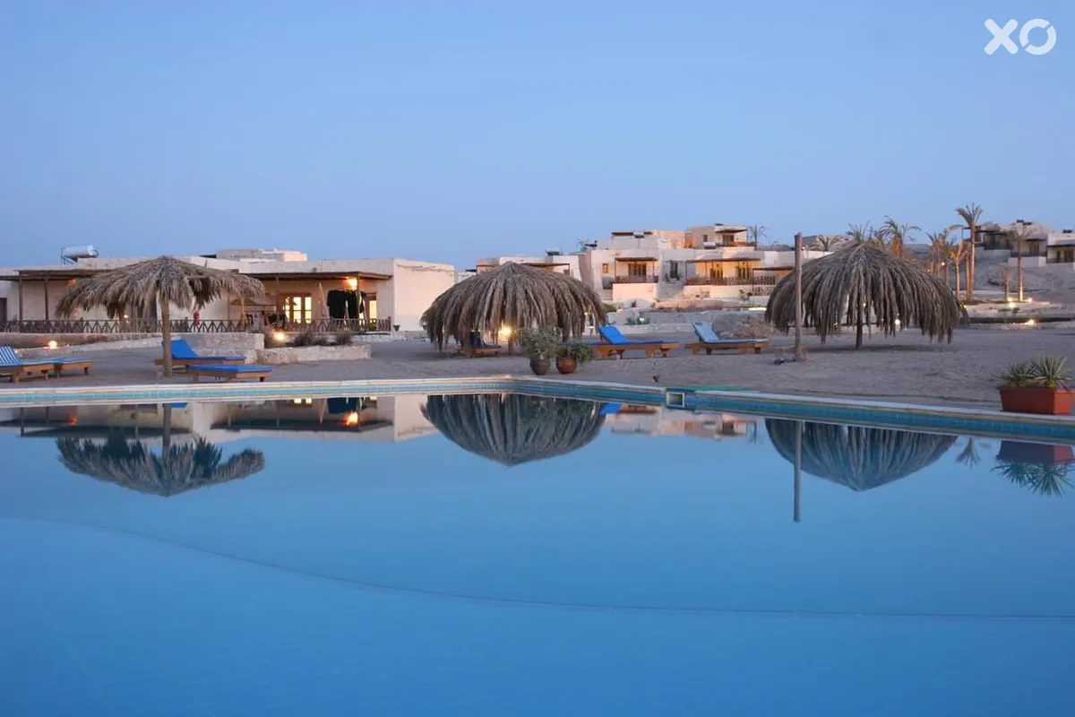 The Oasis Dive Resort