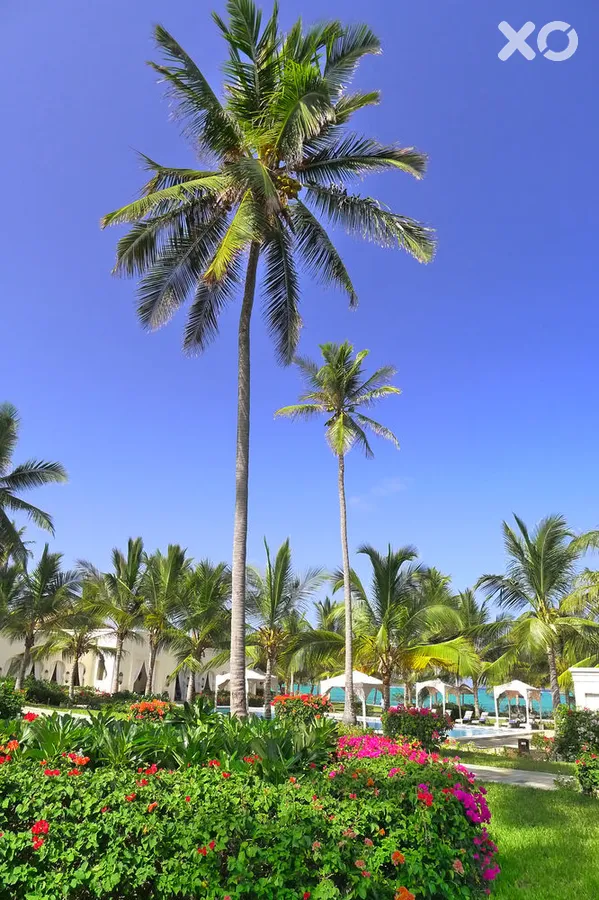 Baraza Resort & Spa