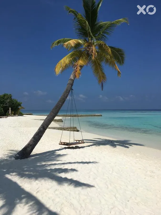 Drift Thelu Veliga Retreat
