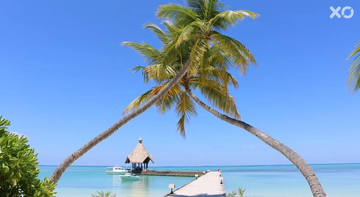 Canareef Resort Maldives