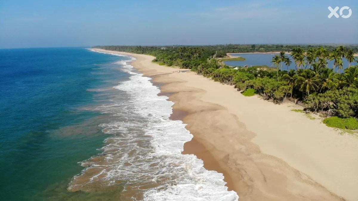 Lankavatara Ocean