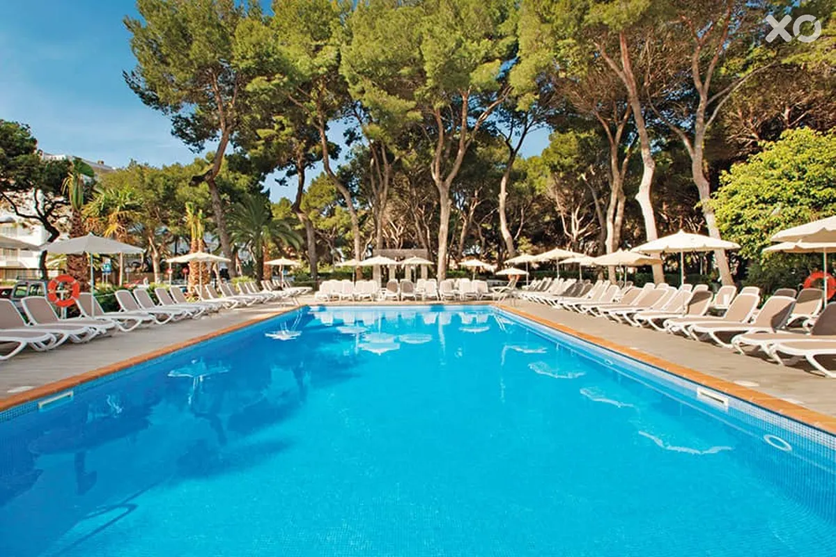 Riu Festival Hotel