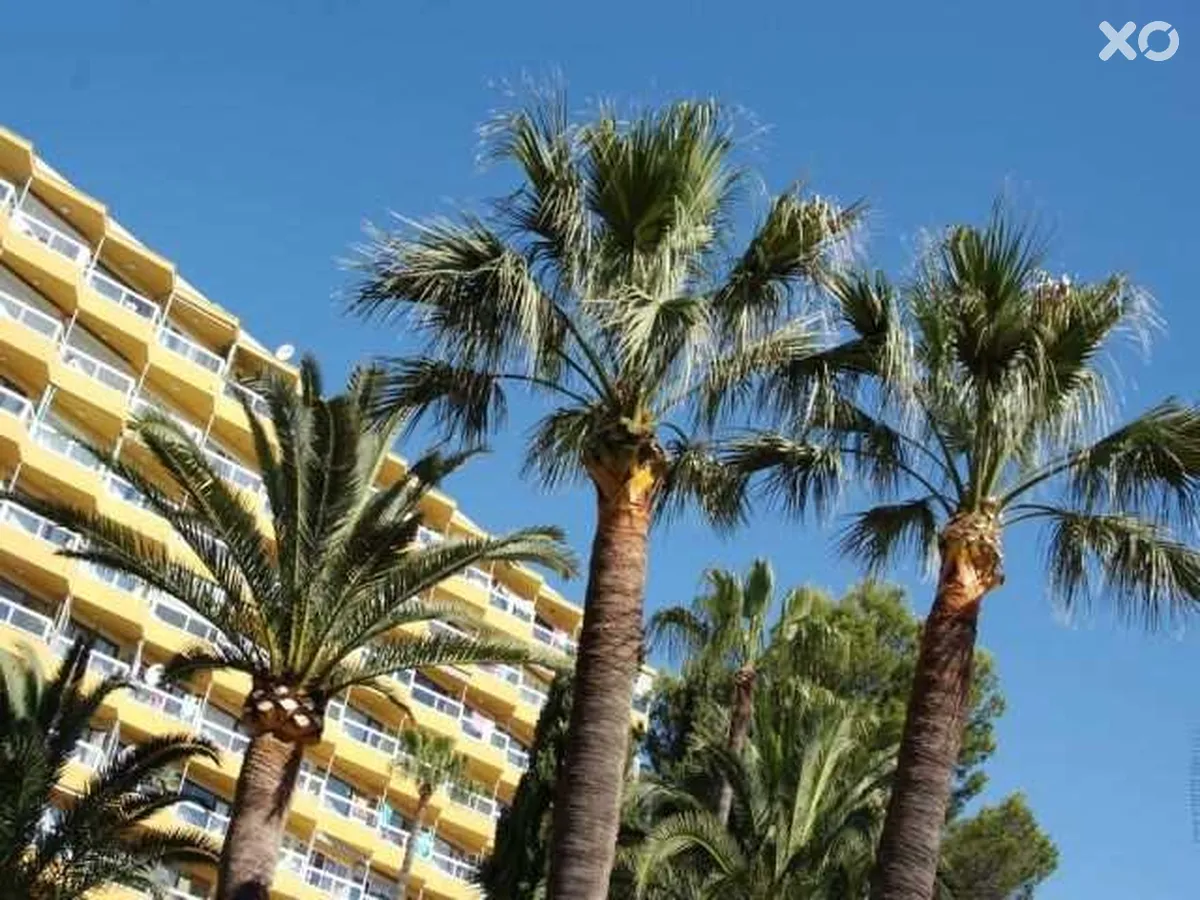 Las Palomas Econotel