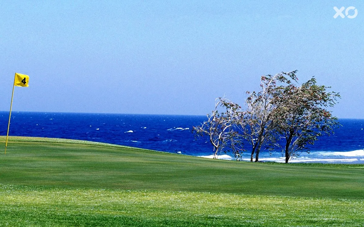 Sheraton Soma Bay Resort