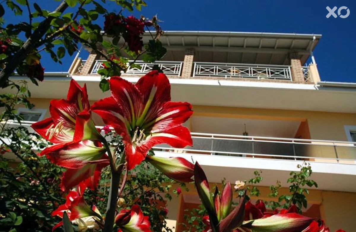 Omirico Hotel & Apartments