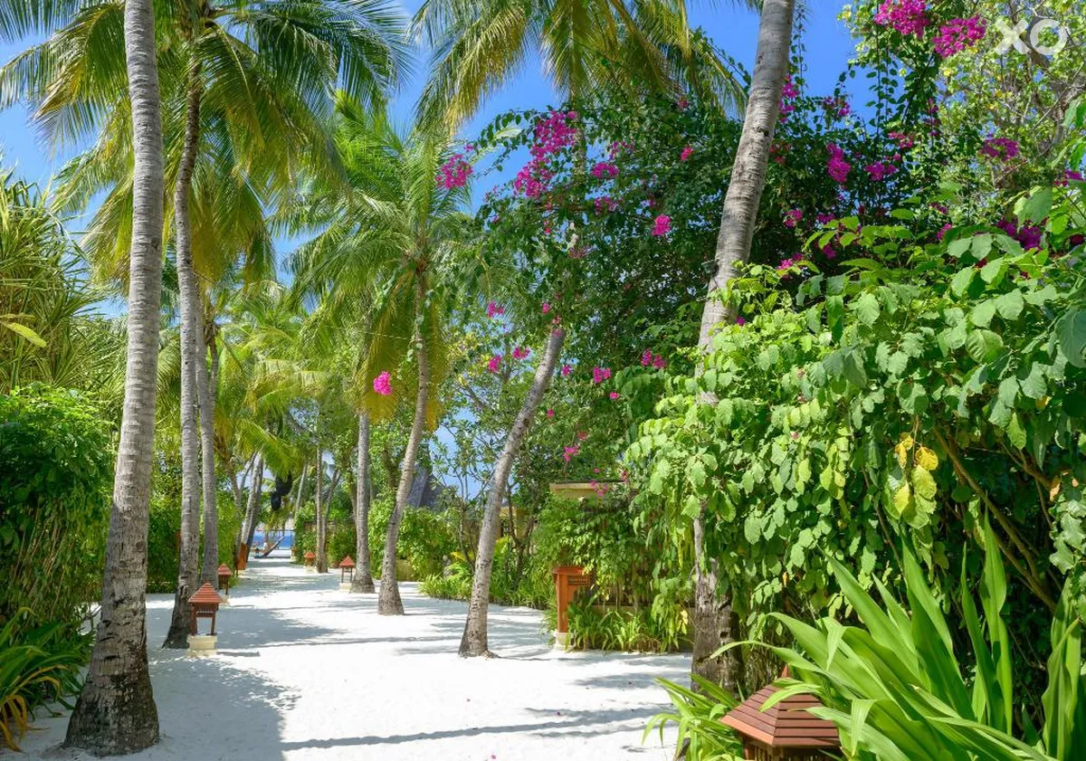Banyan Tree Vabbinfaru