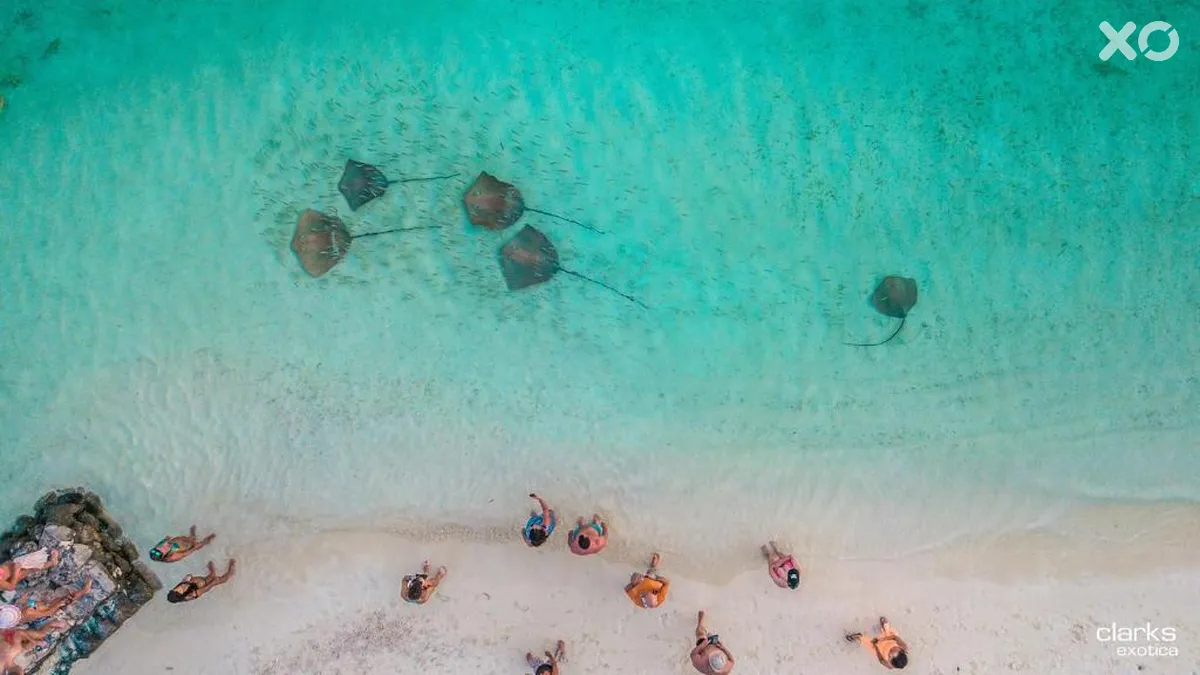Clarks Exotica, Kamadhoo Maldives