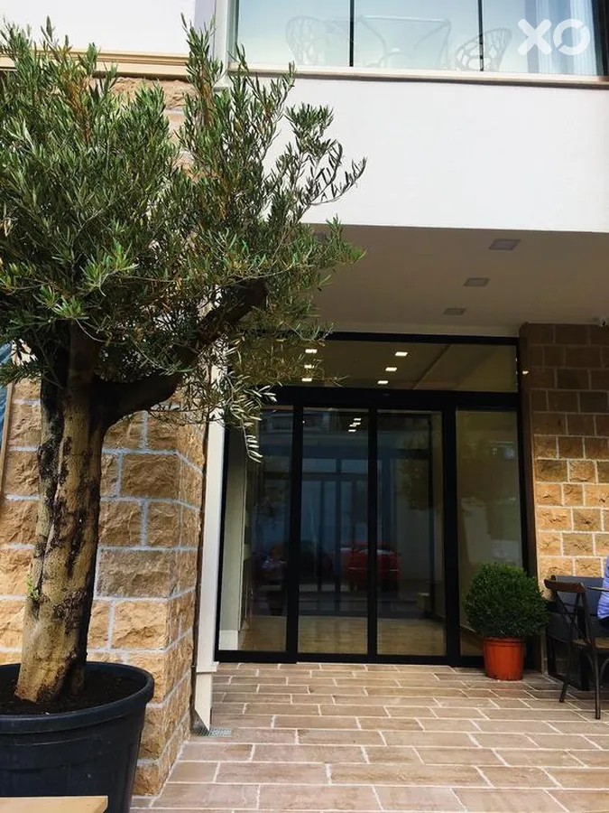 Apartmani Budva 219