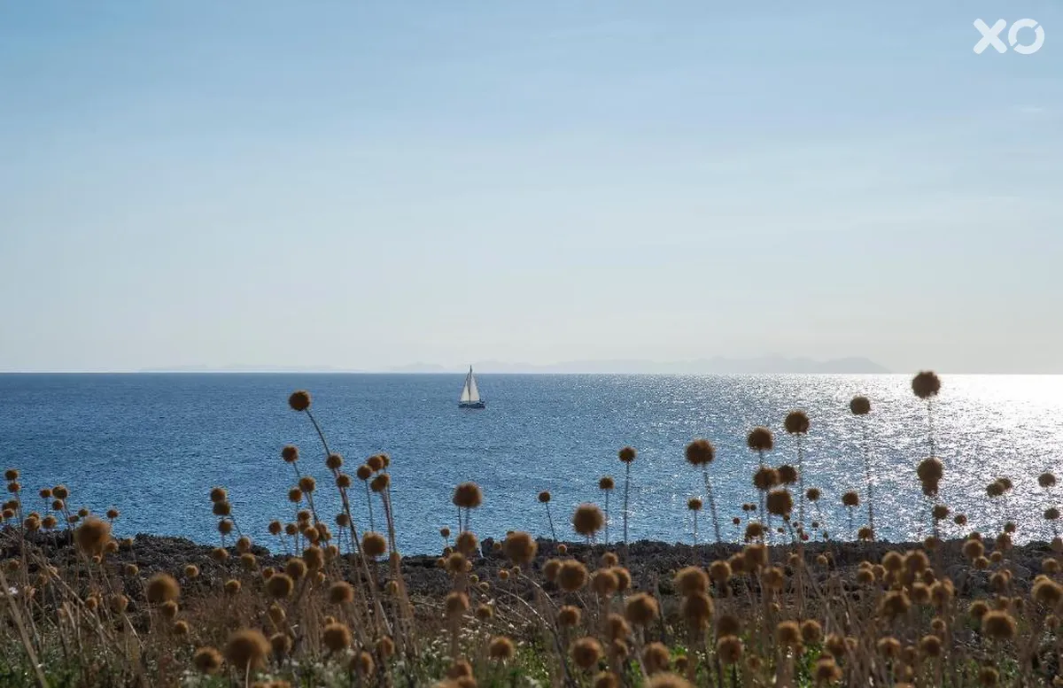 Residence Menorca Cala Blanes