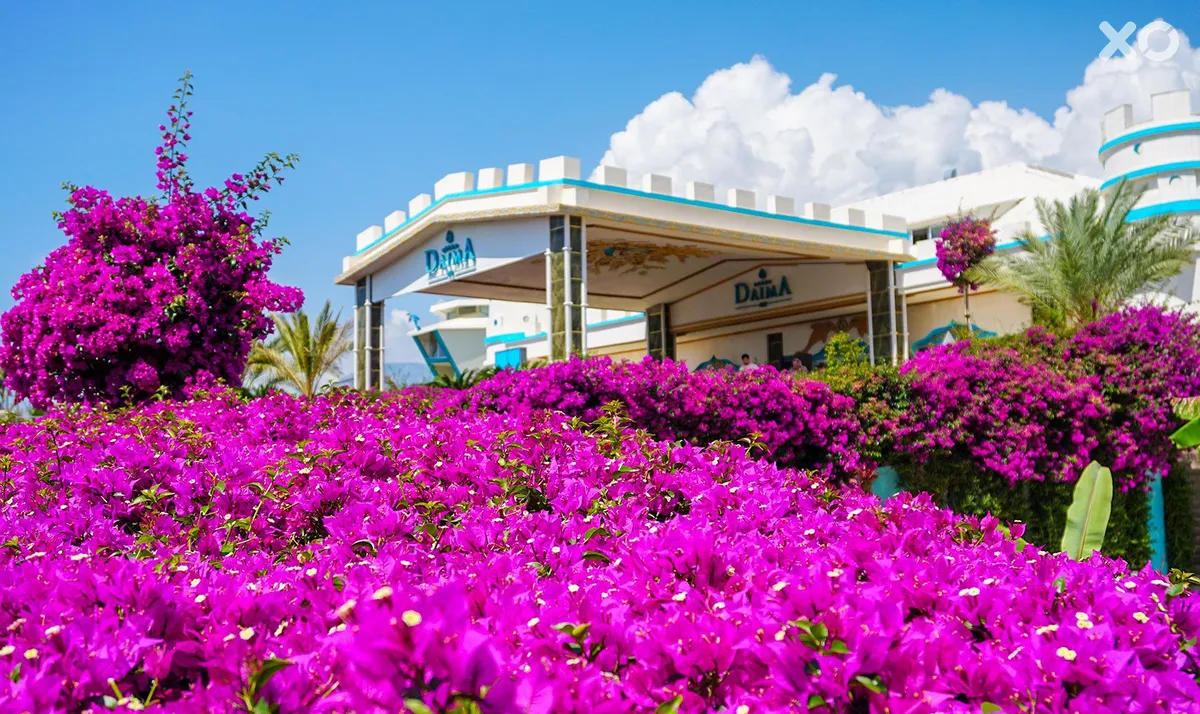 Daima Biz Resort