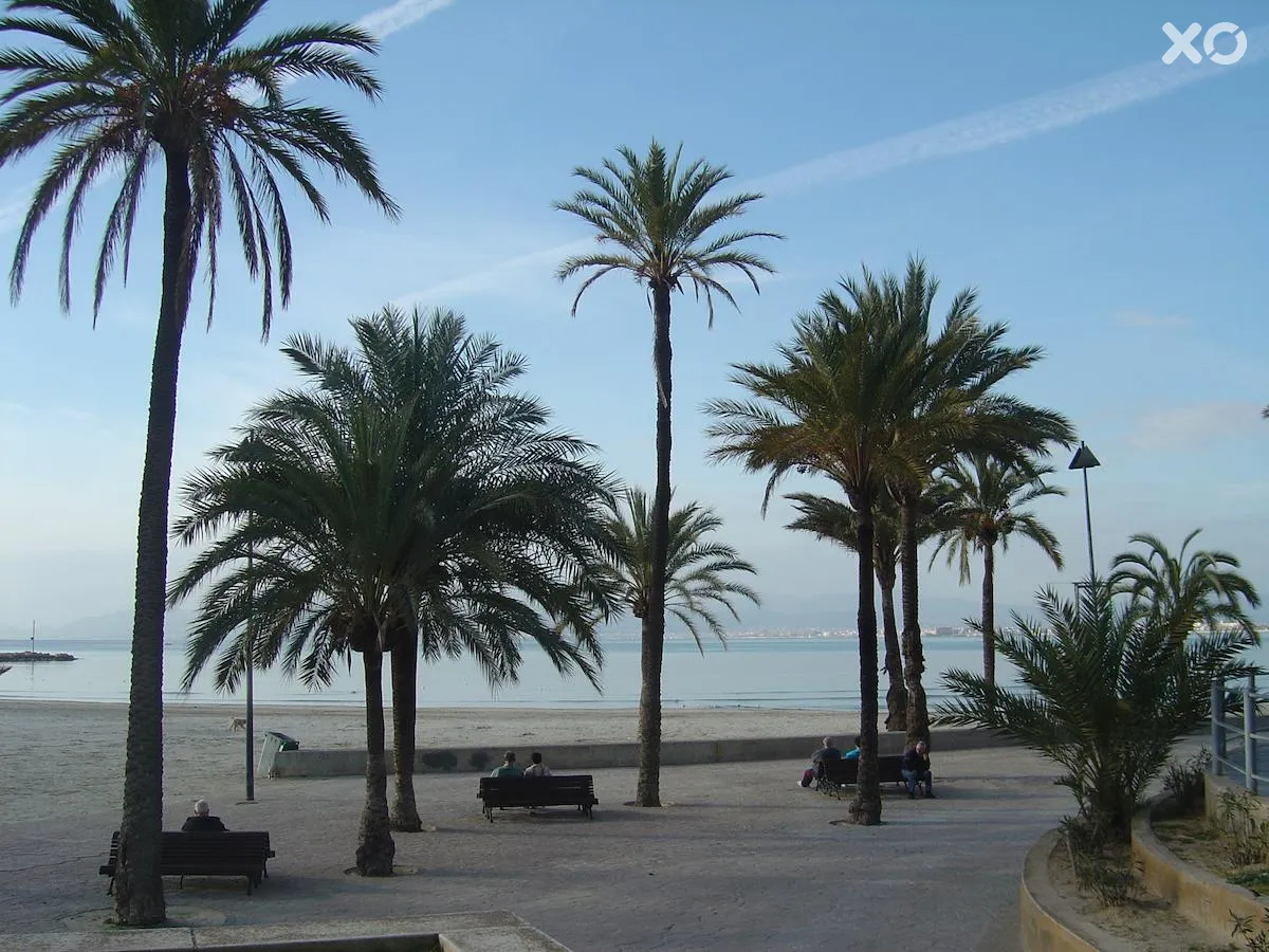Blue Sea Mediodia