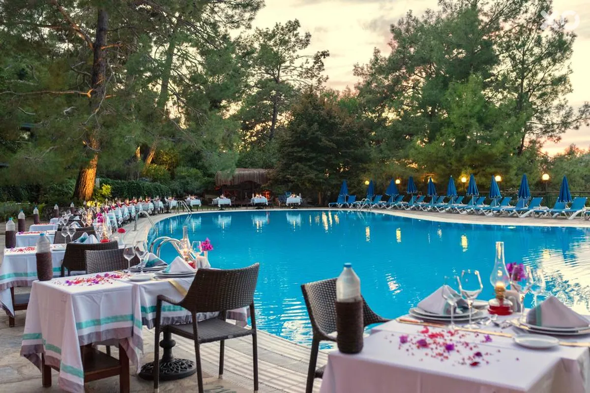 Montana Pine Resort