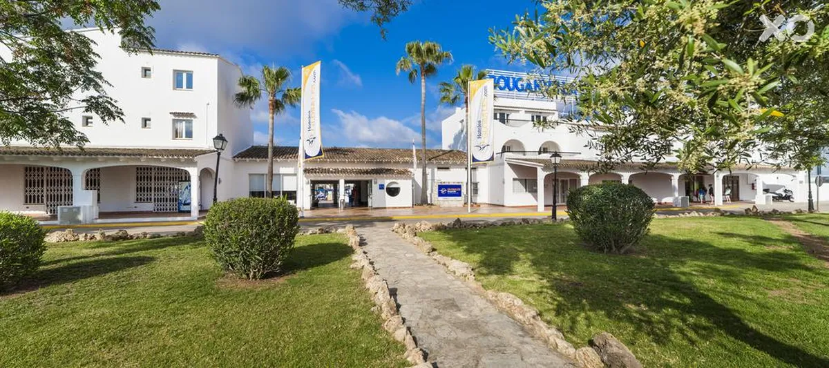 Globales Bouganvilla