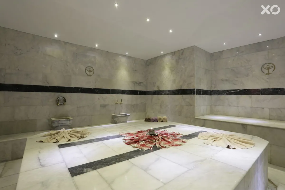 Alenz Suite